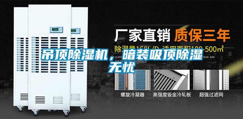 吊顶草莓视频APP在线观看，暗装吸顶除湿无忧
