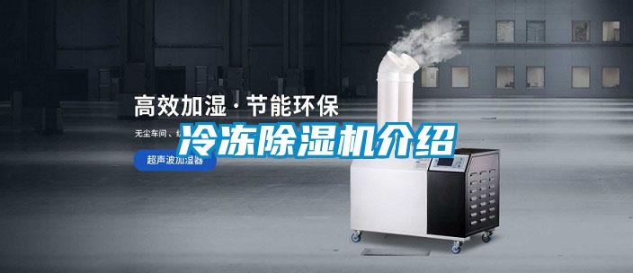 冷冻草莓视频APP在线观看介绍