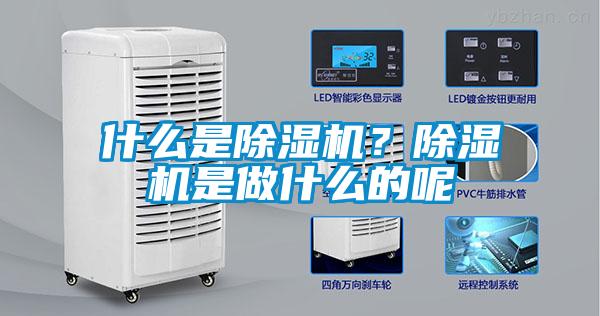 什么是草莓视频APP在线观看？草莓视频APP在线观看是做什么的呢