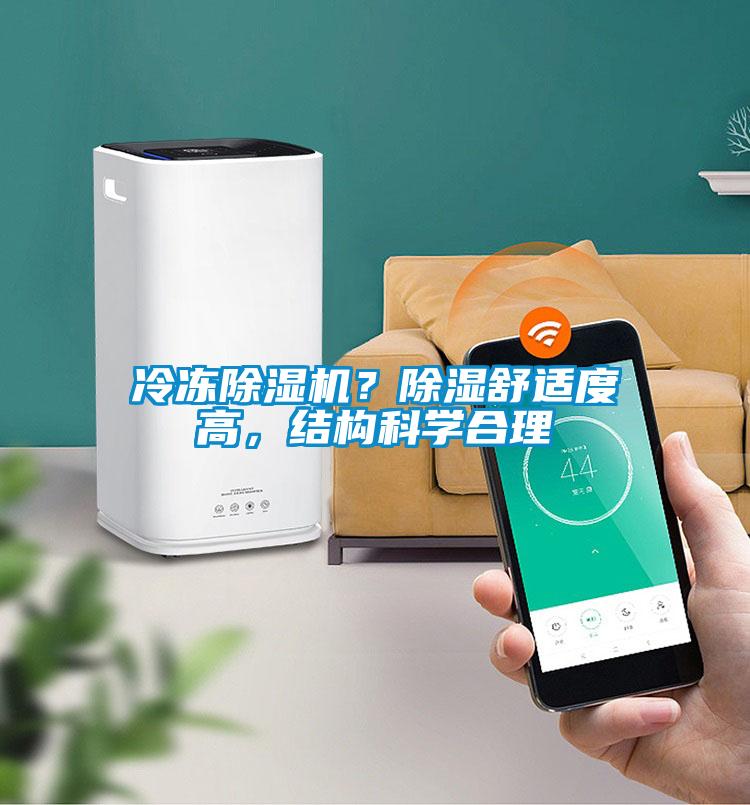 冷冻草莓视频APP在线观看？除湿舒适度高，结构科学合理