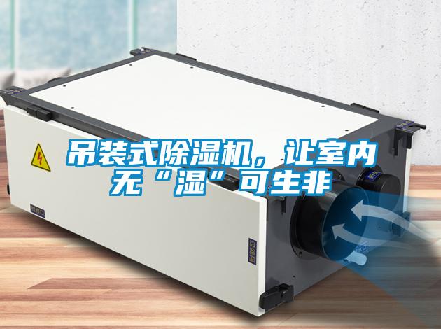 吊装式草莓视频APP在线观看，让室内无“湿”可生非