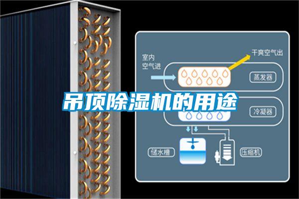 吊顶草莓视频APP在线观看的用途
