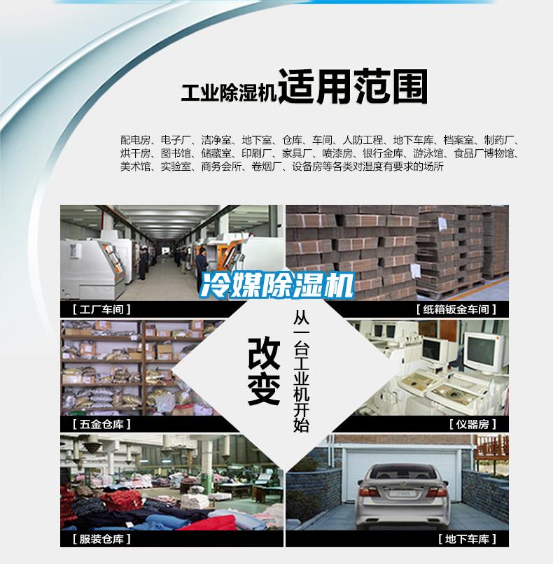 冷媒草莓视频APP在线观看