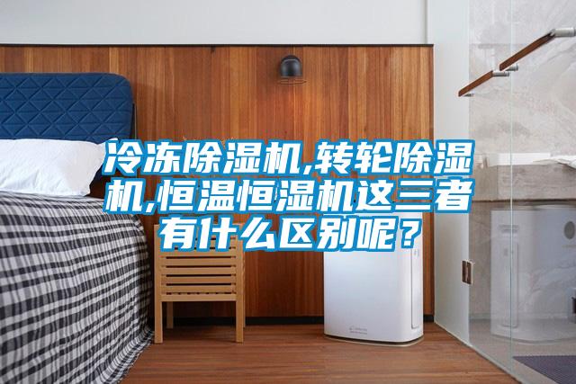 冷冻草莓视频APP在线观看,转轮草莓视频APP在线观看,恒温恒湿机这三者有什么区别呢？