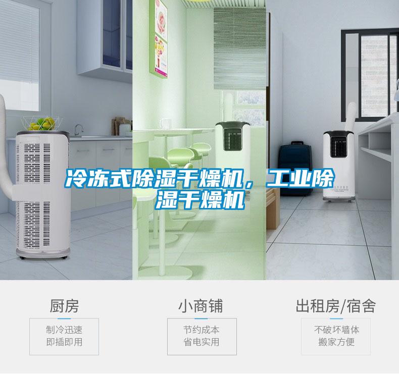 冷冻式除湿干燥机，工业除湿干燥机