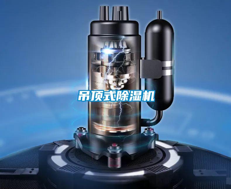 吊顶式草莓视频APP在线观看