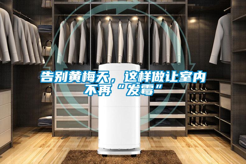 告别黄梅天，这样做让室内不再“发霉”