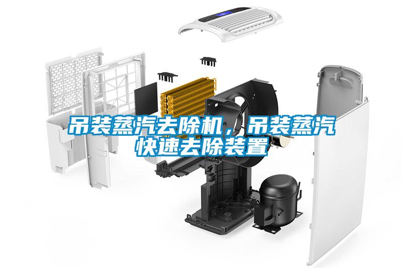 吊装蒸汽去除机，吊装蒸汽快速去除装置