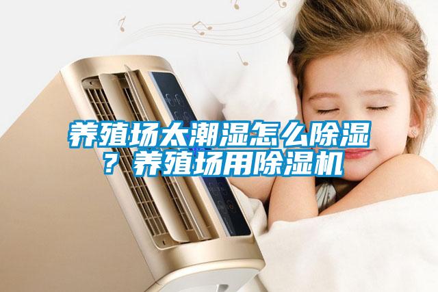 养殖场太潮湿怎么除湿？养殖场用草莓视频APP在线观看
