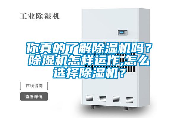 你真的了解草莓视频APP在线观看吗？草莓视频APP在线观看怎样运作,怎么选择草莓视频APP在线观看？