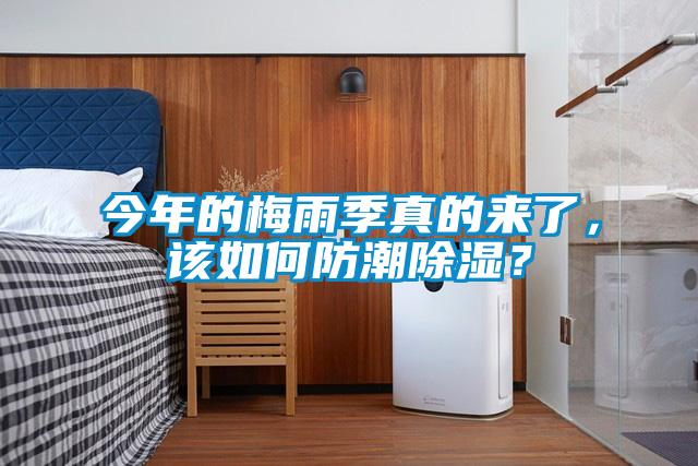 今年的梅雨季真的来了，该如何防潮除湿？