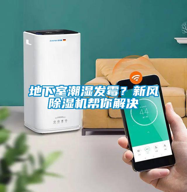 地下室潮湿发霉？新风草莓视频APP在线观看帮你解决
