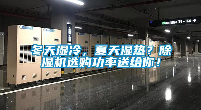 冬天湿冷，夏天湿热？草莓视频APP在线观看选购功率送给你！