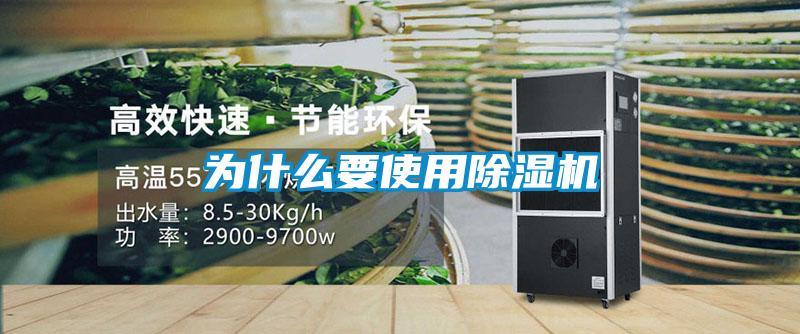 为什么要使用草莓视频APP在线观看