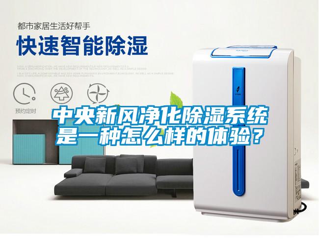 中央新风净化除湿系统是一种怎么样的体验？