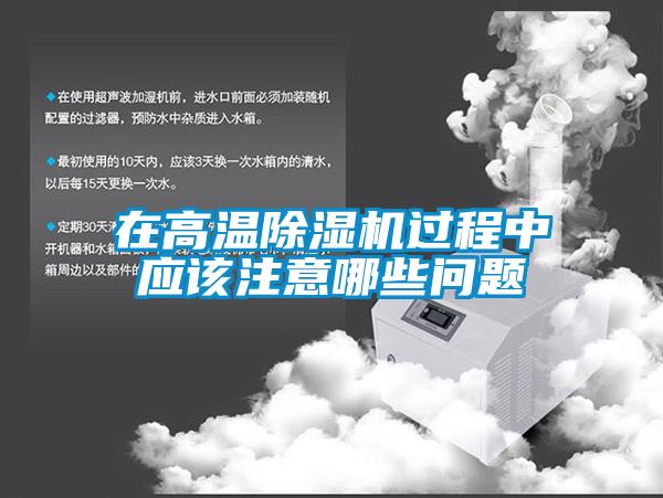 在高温草莓视频APP在线观看过程中应该注意哪些问题