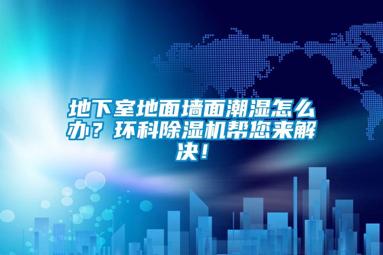 地下室地面墙面潮湿怎么办？环科草莓视频APP在线观看帮您来解决！