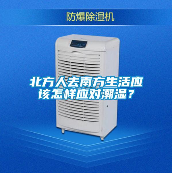 北方人去南方生活应该怎样应对潮湿？