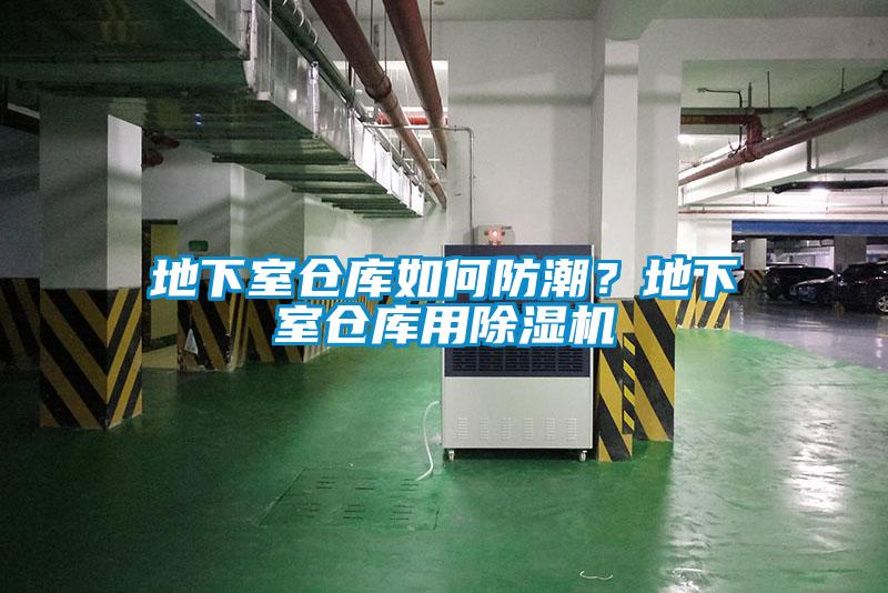 地下室仓库如何防潮？地下室仓库用草莓视频APP在线观看
