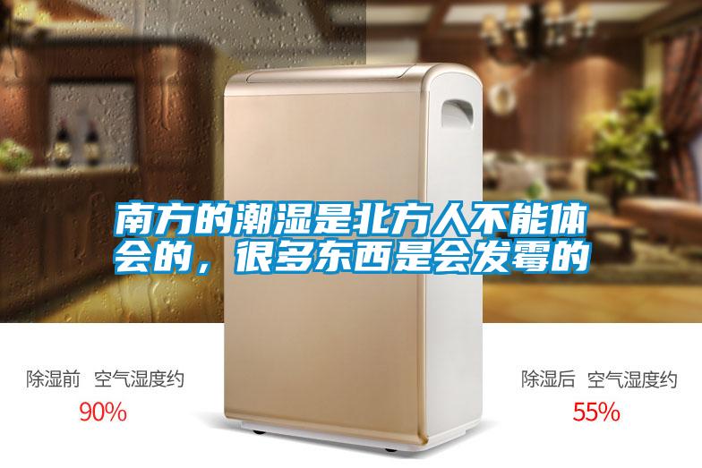 南方的潮湿是北方人不能体会的，很多东西是会发霉的