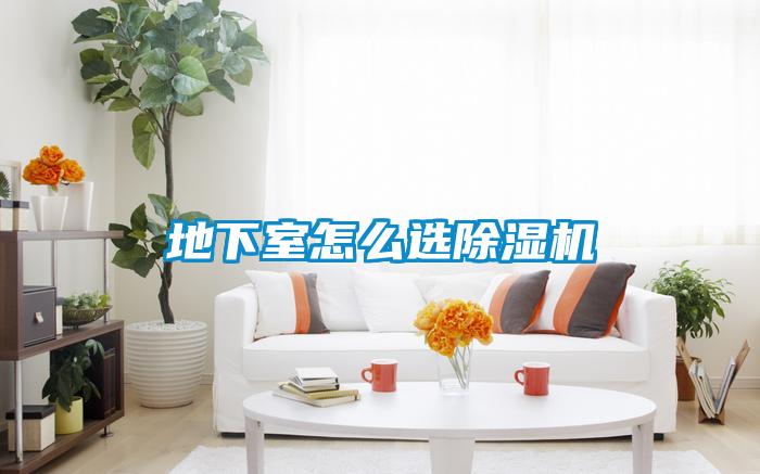 地下室怎么选草莓视频APP在线观看