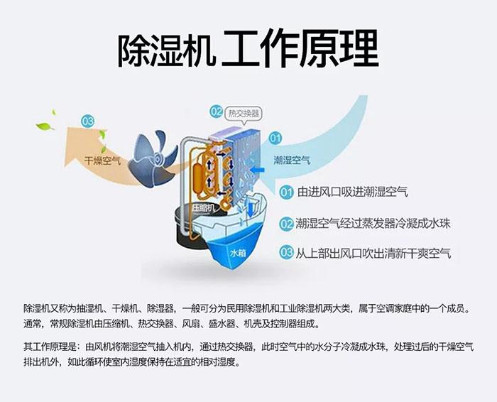 草莓视频污污版冷气机—给药品一个优良环境
