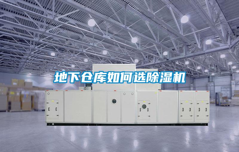地下仓库如何选草莓视频APP在线观看