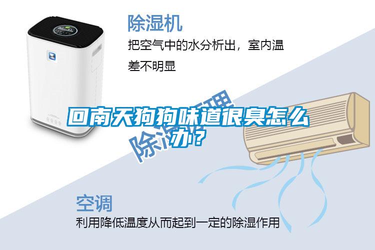 回南天狗狗味道很臭怎么办？