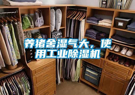 养猪舍湿气大，使用工业草莓视频APP在线观看