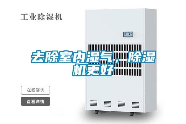 去除室内湿气，草莓视频APP在线观看更好