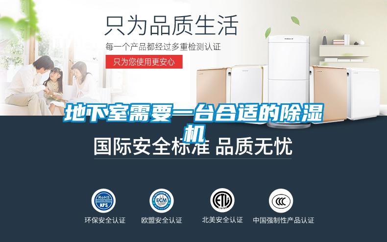地下室需要一台合适的草莓视频APP在线观看