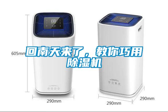 回南天来了，教你巧用草莓视频APP在线观看