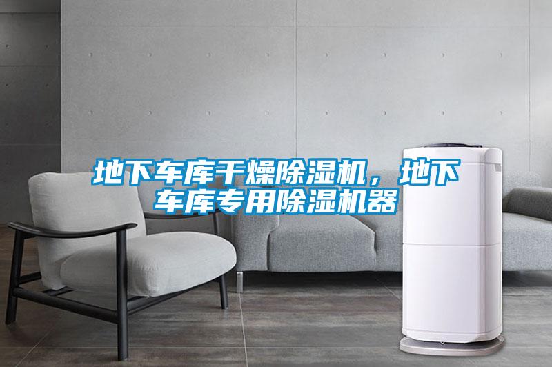 地下车库干燥草莓视频APP在线观看，地下车库专用草莓视频APP在线观看器