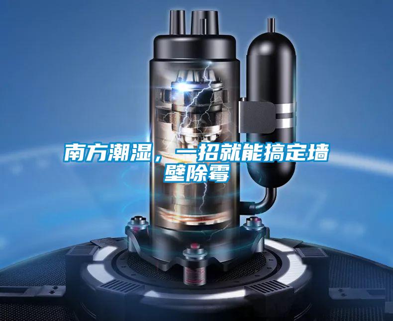 南方潮湿，一招就能搞定墙壁除霉