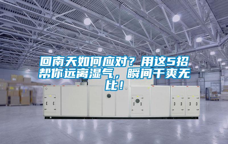 回南天如何应对？用这5招帮你远离湿气，瞬间干爽无比！