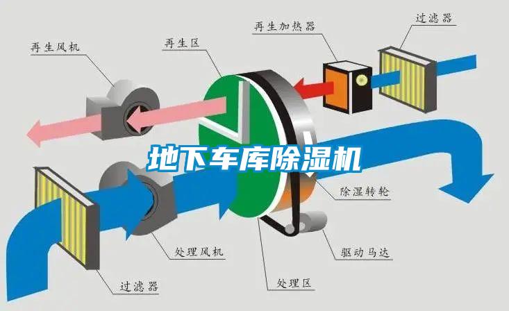 地下车库草莓视频APP在线观看