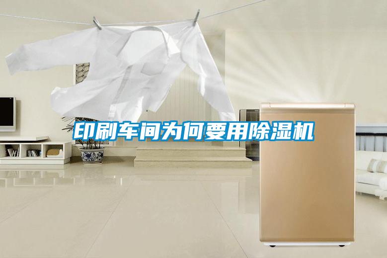 印刷车间为何要用草莓视频APP在线观看