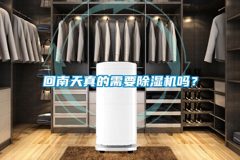 回南天真的需要草莓视频APP在线观看吗？