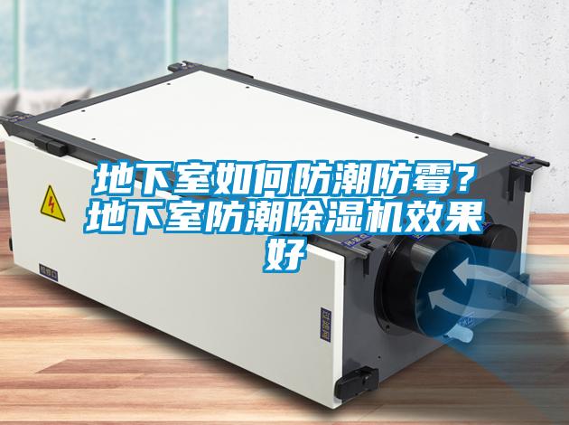 地下室如何防潮防霉？地下室防潮草莓视频APP在线观看效果好