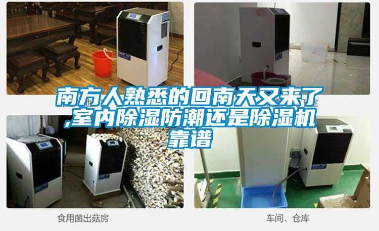 南方人熟悉的回南天又来了,室内除湿防潮还是草莓视频APP在线观看靠谱