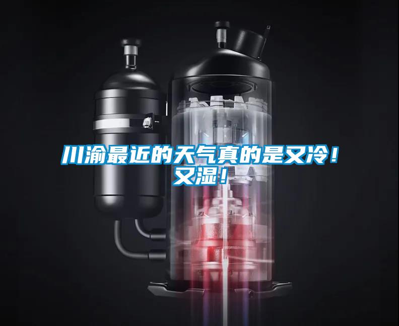 川渝最近的天气真的是又冷！又湿！