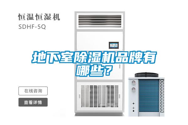 地下室草莓视频APP在线观看品牌有哪些？