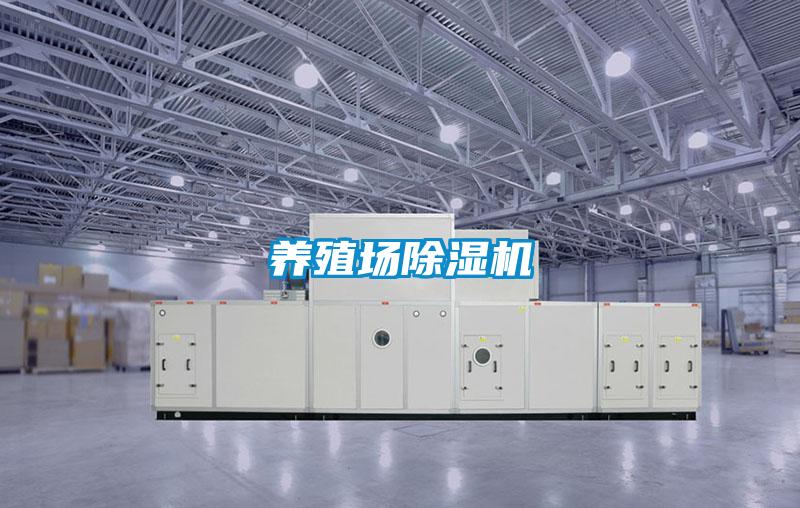 养殖场草莓视频APP在线观看