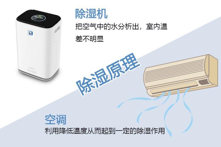 博物馆草莓视频APP在线观看，严格控制博物馆湿度保持恒湿