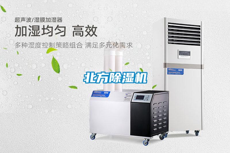北方草莓视频APP在线观看