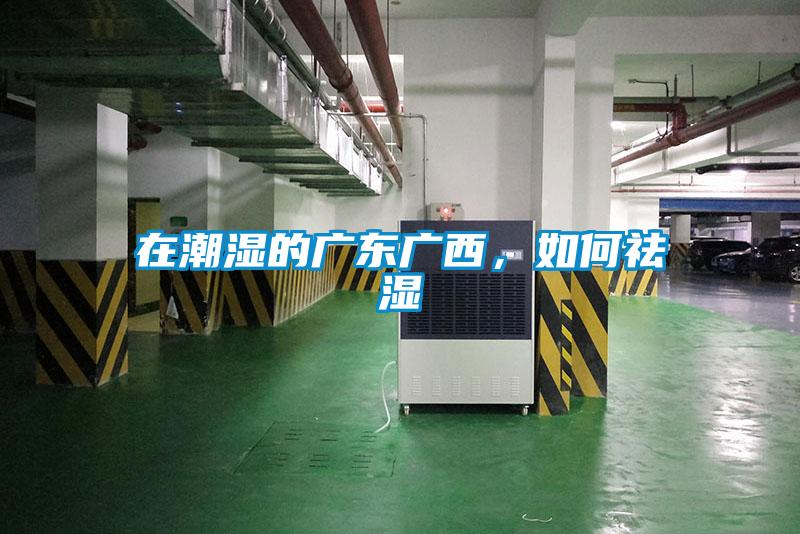 在潮湿的广东广西，如何祛湿