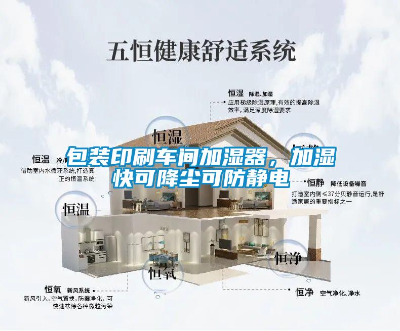 包装印刷车间加湿器，加湿快可降尘可防静电