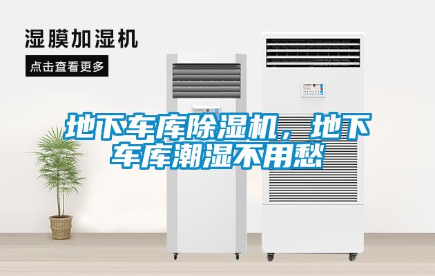 地下车库草莓视频APP在线观看，地下车库潮湿不用愁
