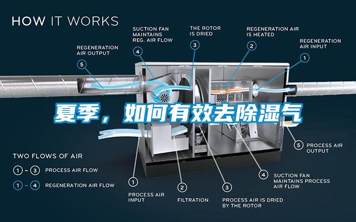夏季，如何有效去除湿气