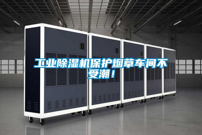 工业草莓视频APP在线观看保护烟草车间不受潮！